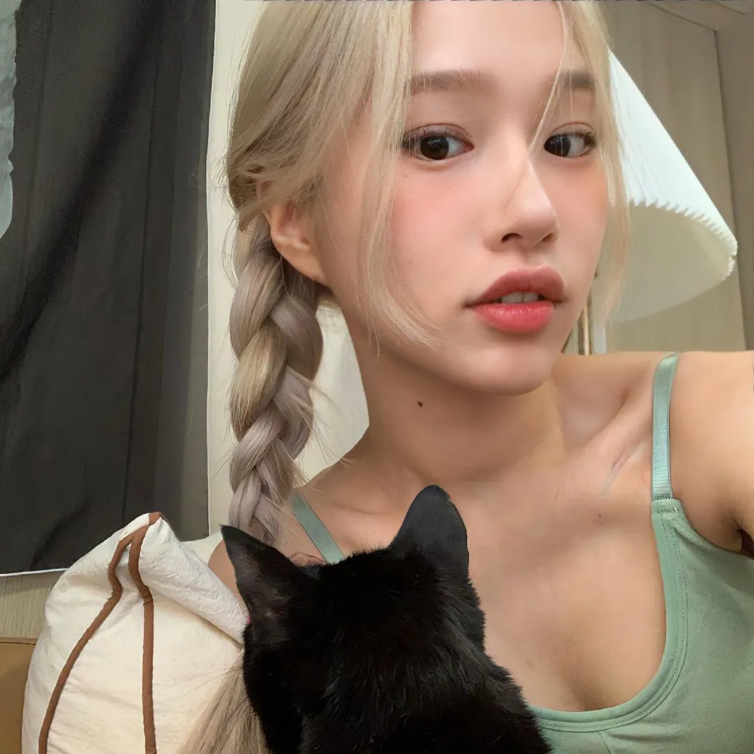 豆豆猫