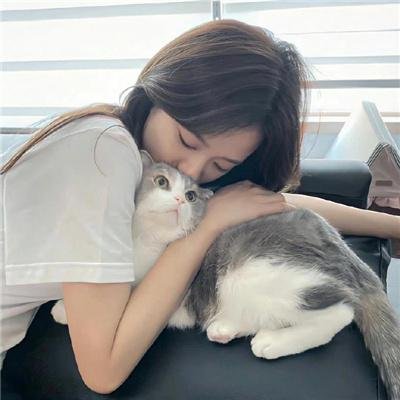 狐门秘事第一季